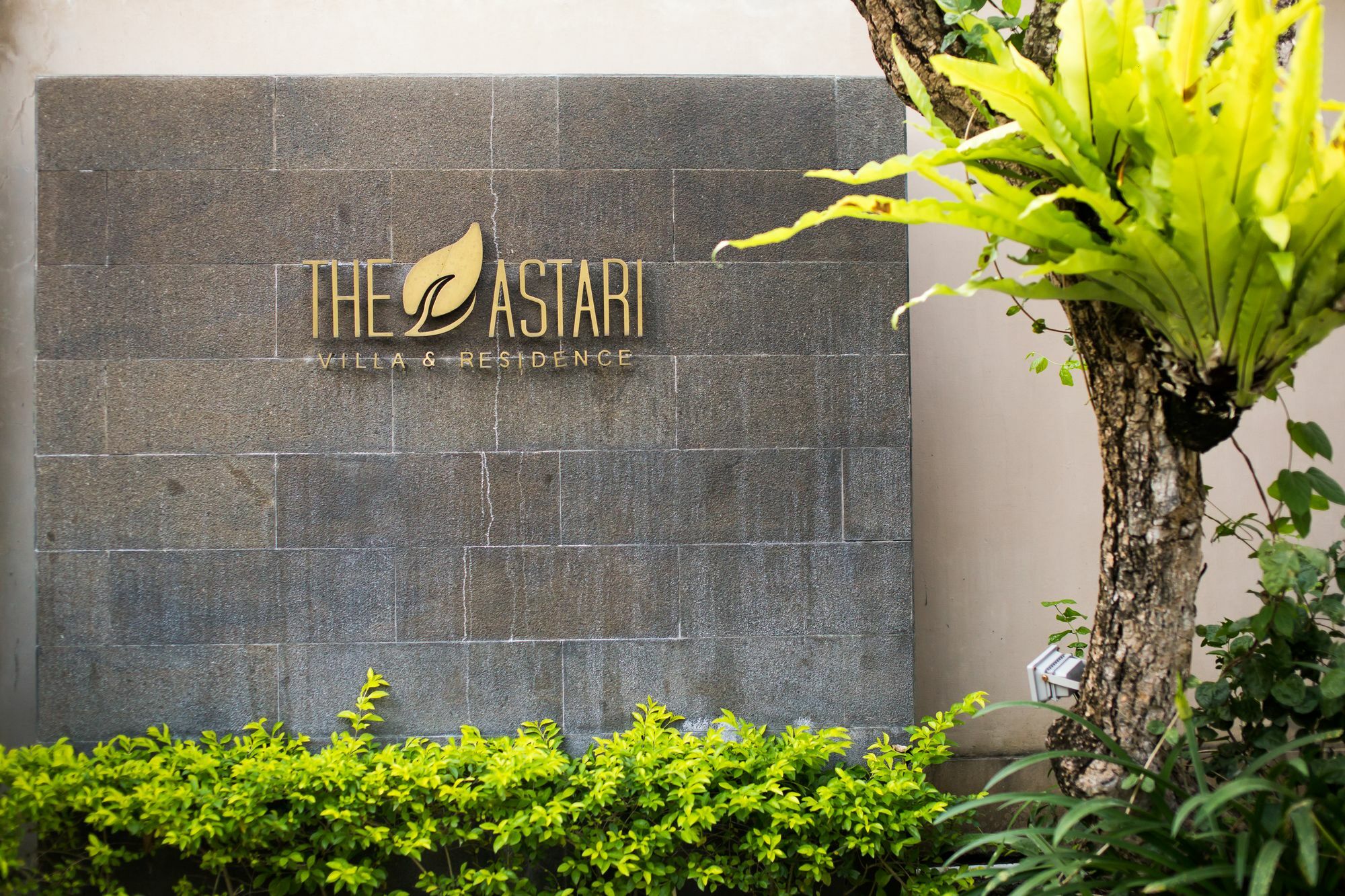 The Astari And *